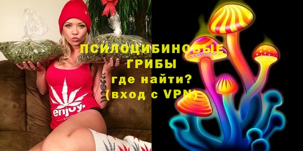mdpv Армянск