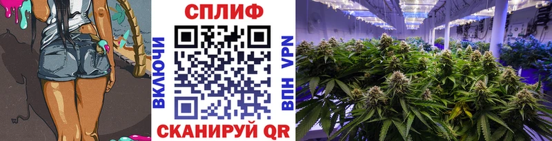 Каннабис индика  Купить  Полесск 